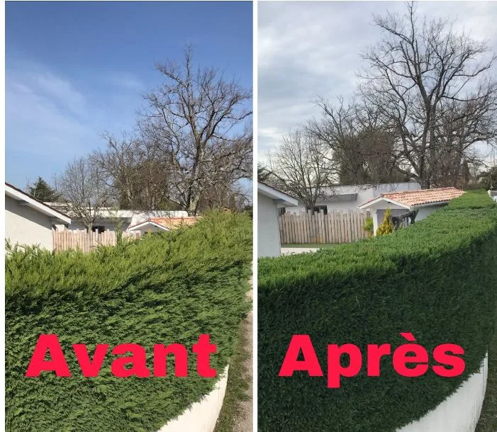Fv paysagiste, paysagiste à Acquigny — réalisation 3